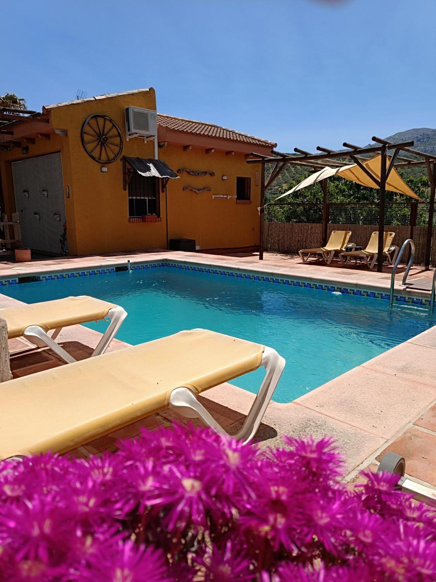 Bed and Breakfast Cortijo Petra Villanueva del Rosario Экстерьер фото